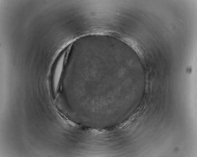 X0000098180346200805081029