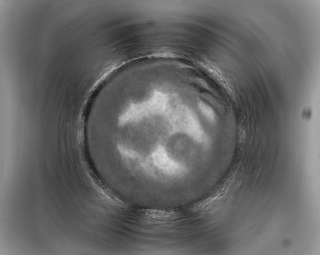 X0000098180347200805081029