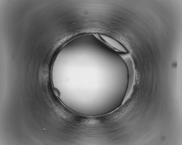 X0000098180348200805081029