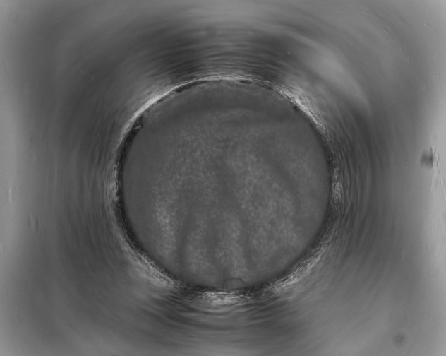 X0000098180351200805081029