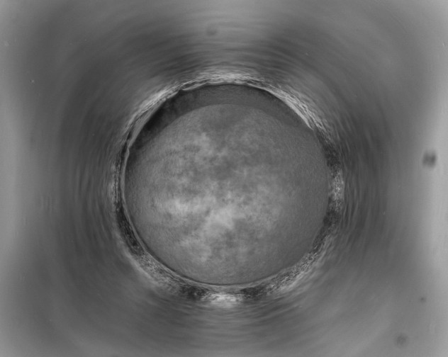 X0000098180352200805081029