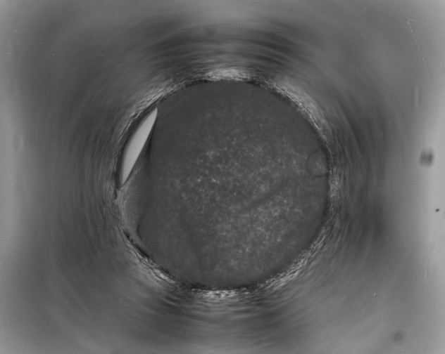 X0000098180353200805081029