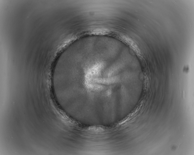 X0000098180354200805081029