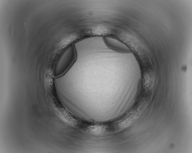 X0000098180356200805081029