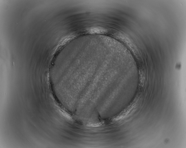 X0000098180357200805081029