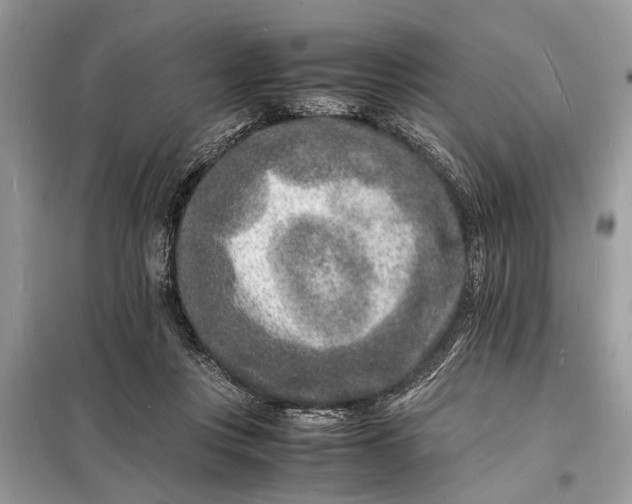 X0000098180359200805081029