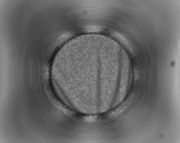 X0000098180362200805081029