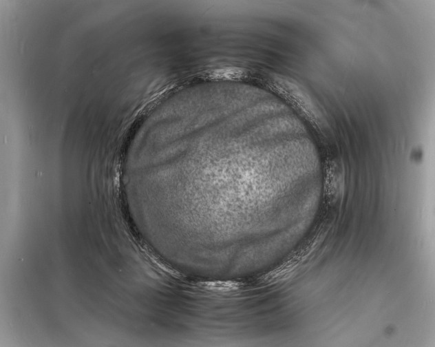 X0000098180363200805081029