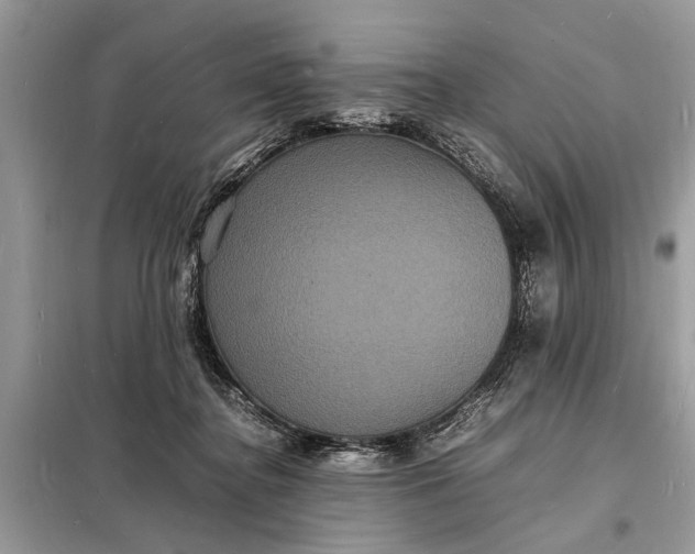 X0000098180364200805081029