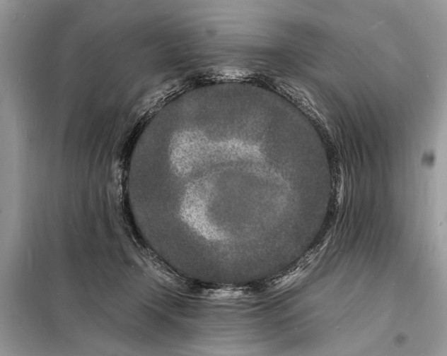 X0000098180366200805081029