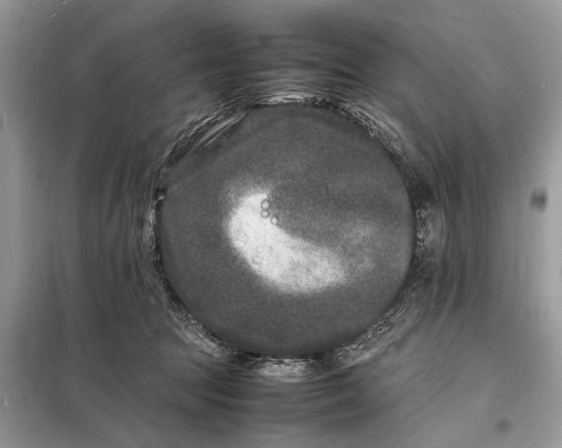 X0000098180369200805081029