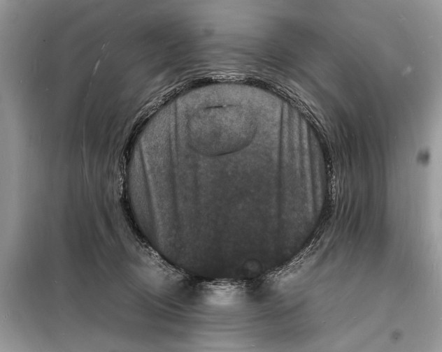 X0000098180370200805081029