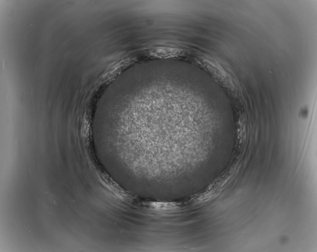 X0000098180371200805081029