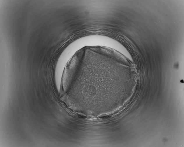 X0000098180372200805081029