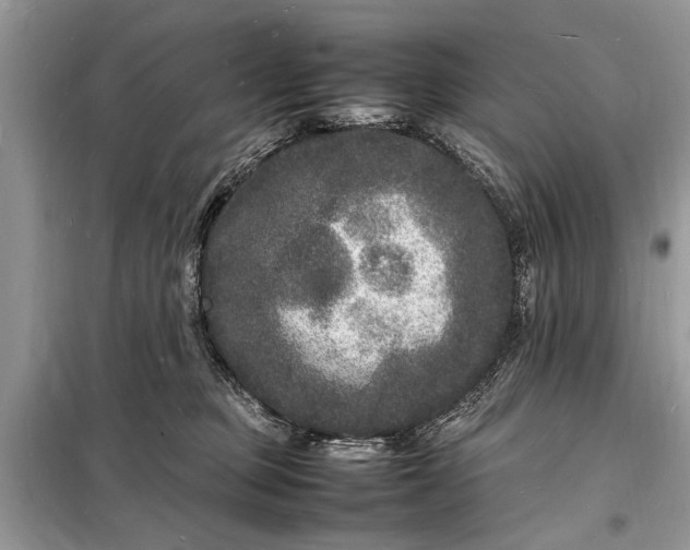 X0000098180373200805081029