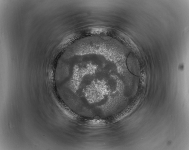 X0000098180375200805081029