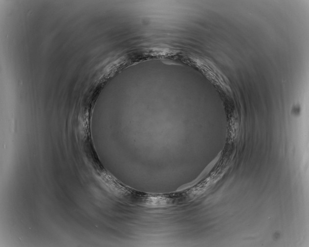 X0000098180376200805081029