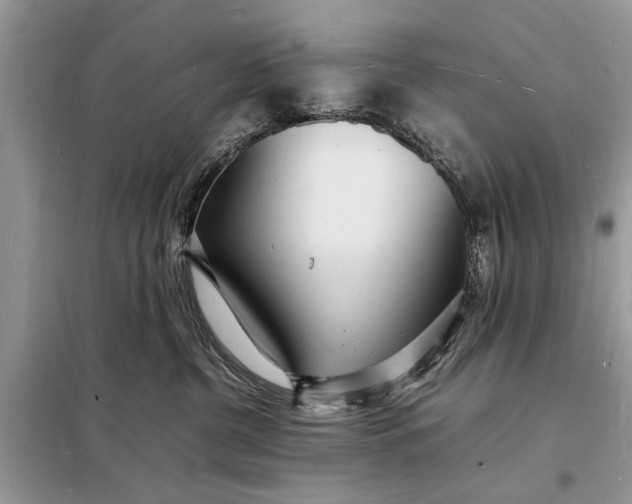 X0000098180380200805081029