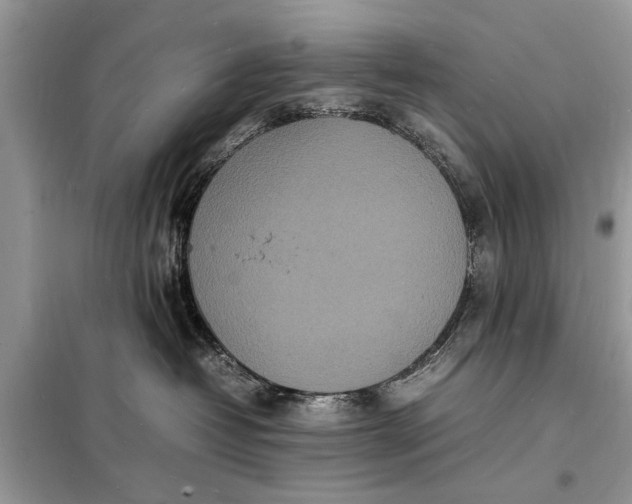 X0000098180382200805081029