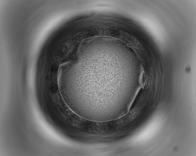 X0000098180383200805081029