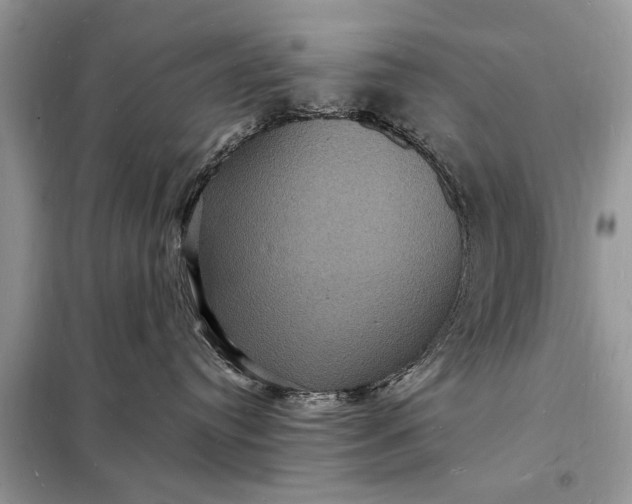 X0000098180384200805081029