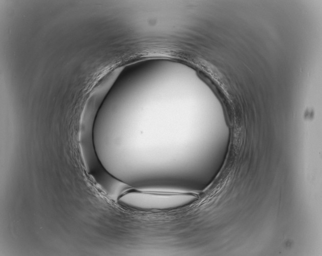 X0000098180385200805081029