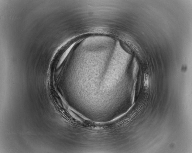 X0000098180388200805081029