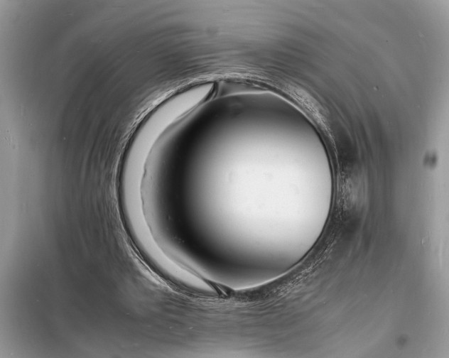 X0000098180389200805081029