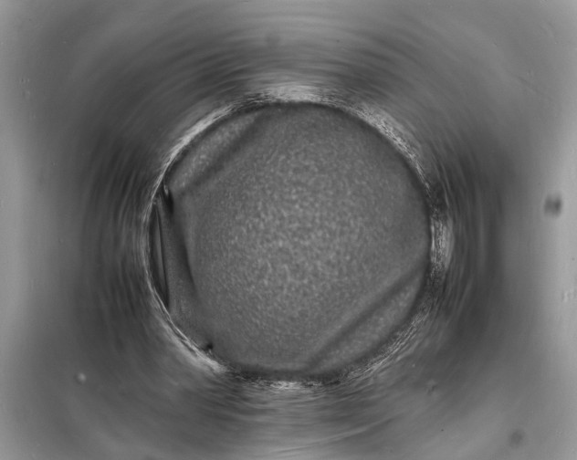 X0000098180390200805081029