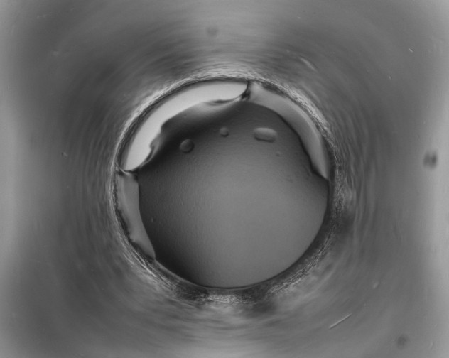 X0000098180391200805081029