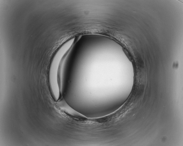 X0000098180393200805081029