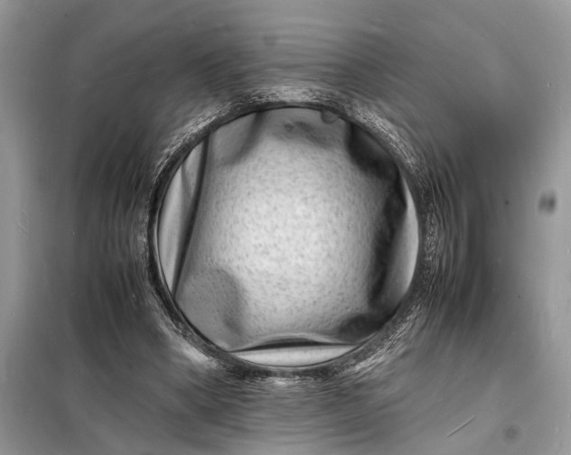 X0000098180394200805081029