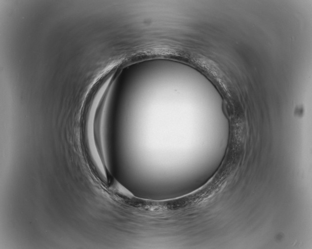 X0000098180395200805081028