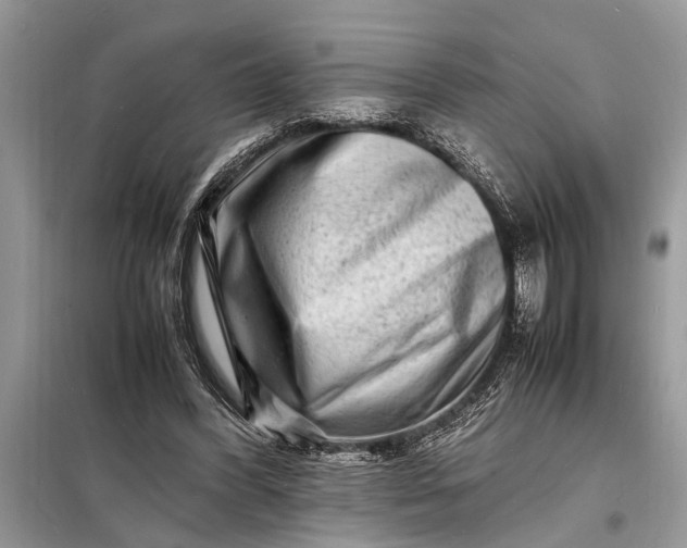 X0000098180396200805081028