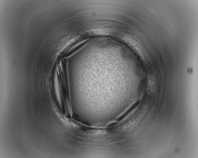 X0000098180398200805081028