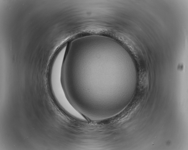 X0000098180399200805081028