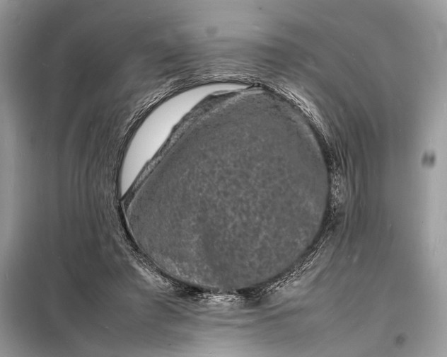 X0000098180401200805081028