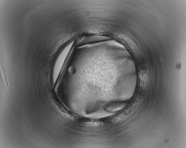 X0000098180404200805081028