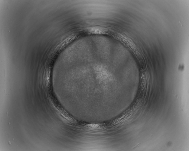 X0000098180406200805081028