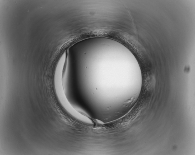 X0000098180407200805081028