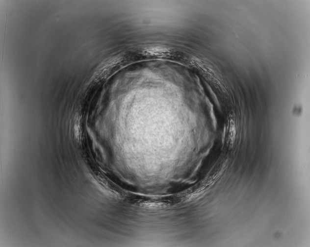 X0000098180408200805081028