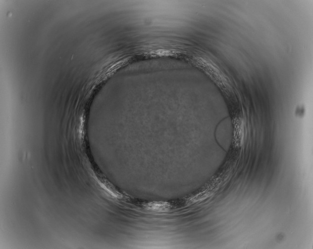 X0000098180410200805081028