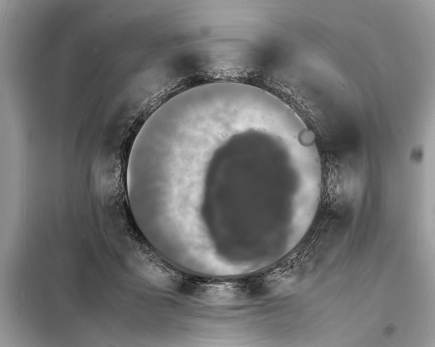 X0000098180411200805081028