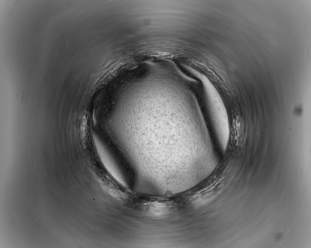 X0000098180412200805081028