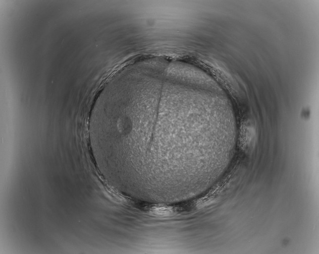 X0000098180413200805081028