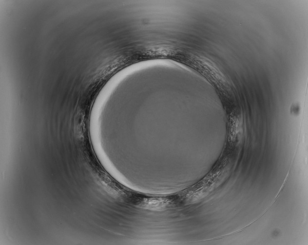 X0000098180414200805081028