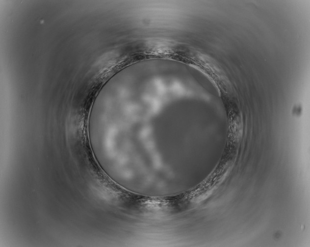 X0000098180415200805081028