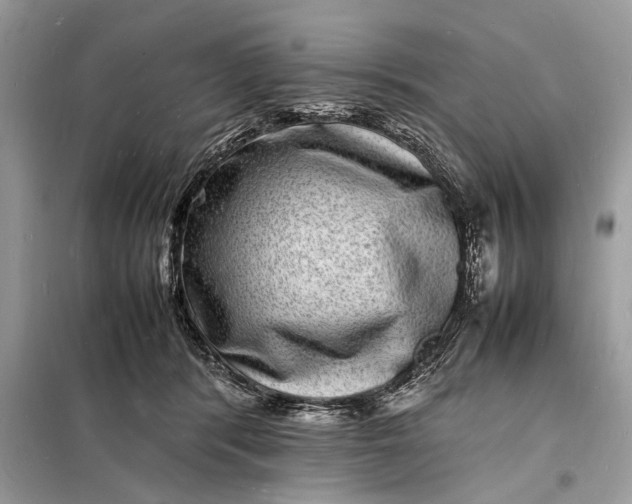 X0000098180416200805081028