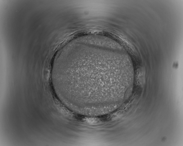 X0000098180417200805081028