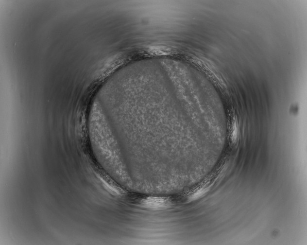 X0000098180418200805081028